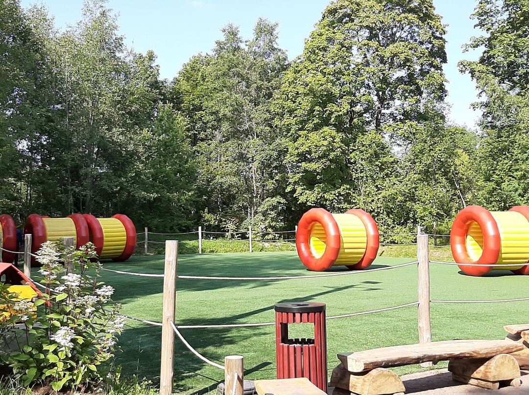 Adventure Family Park Ozornyye Belki景点图片