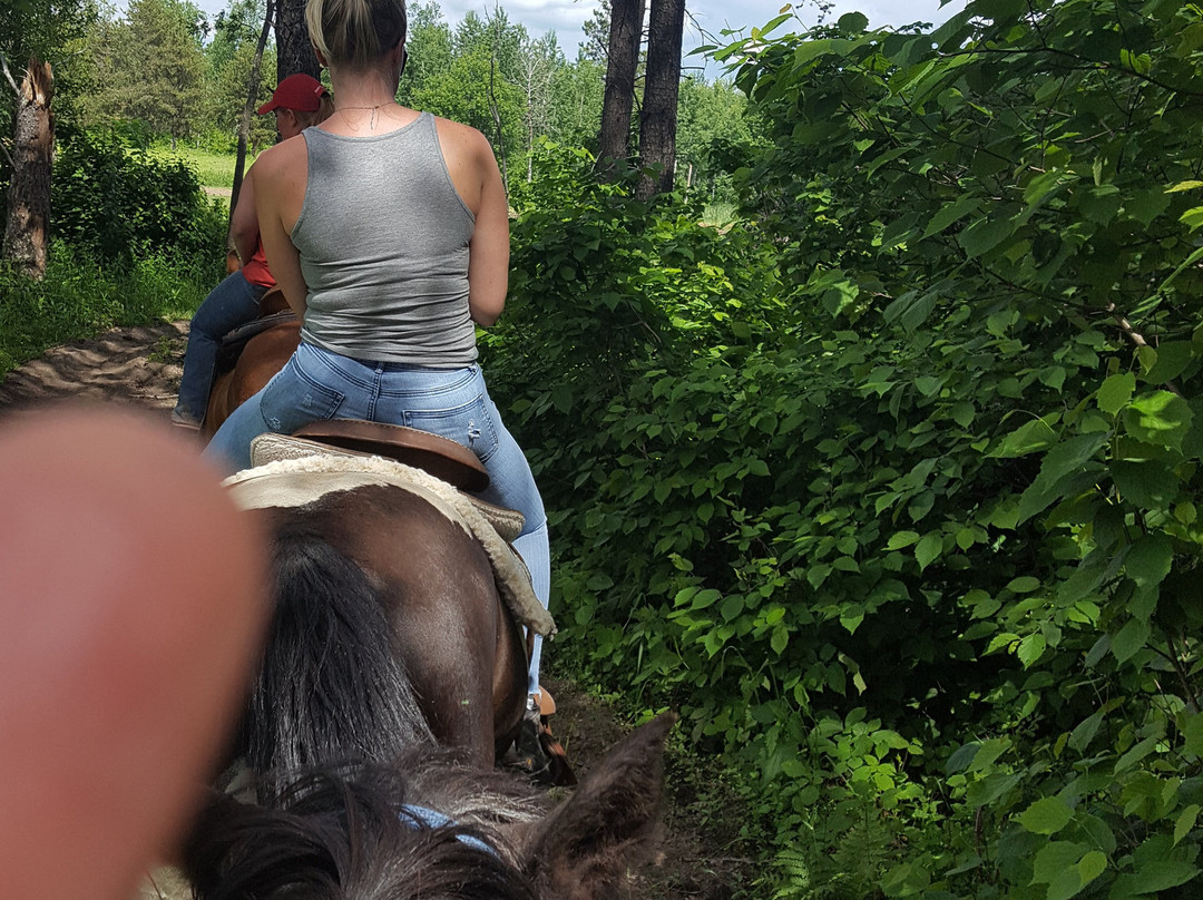 Pine River Riding Stable-Pine River必去景点