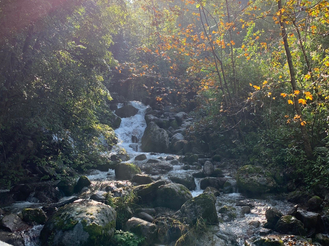 Ciclabile Alta Val Seriana-Gromo必去景点