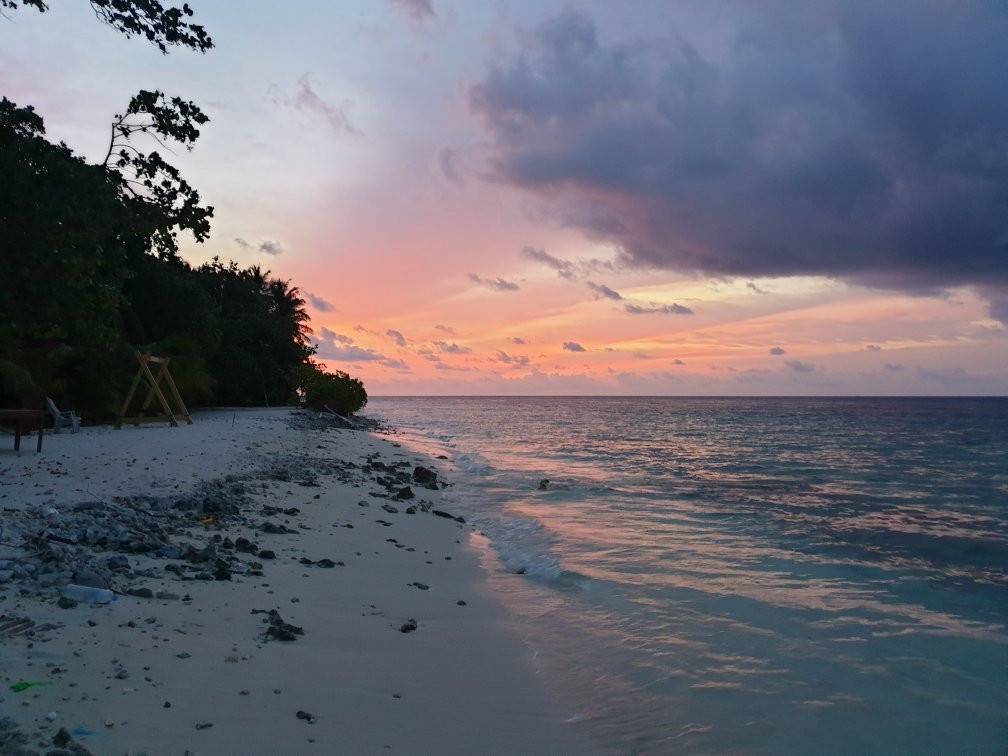 Island Pavilion主图