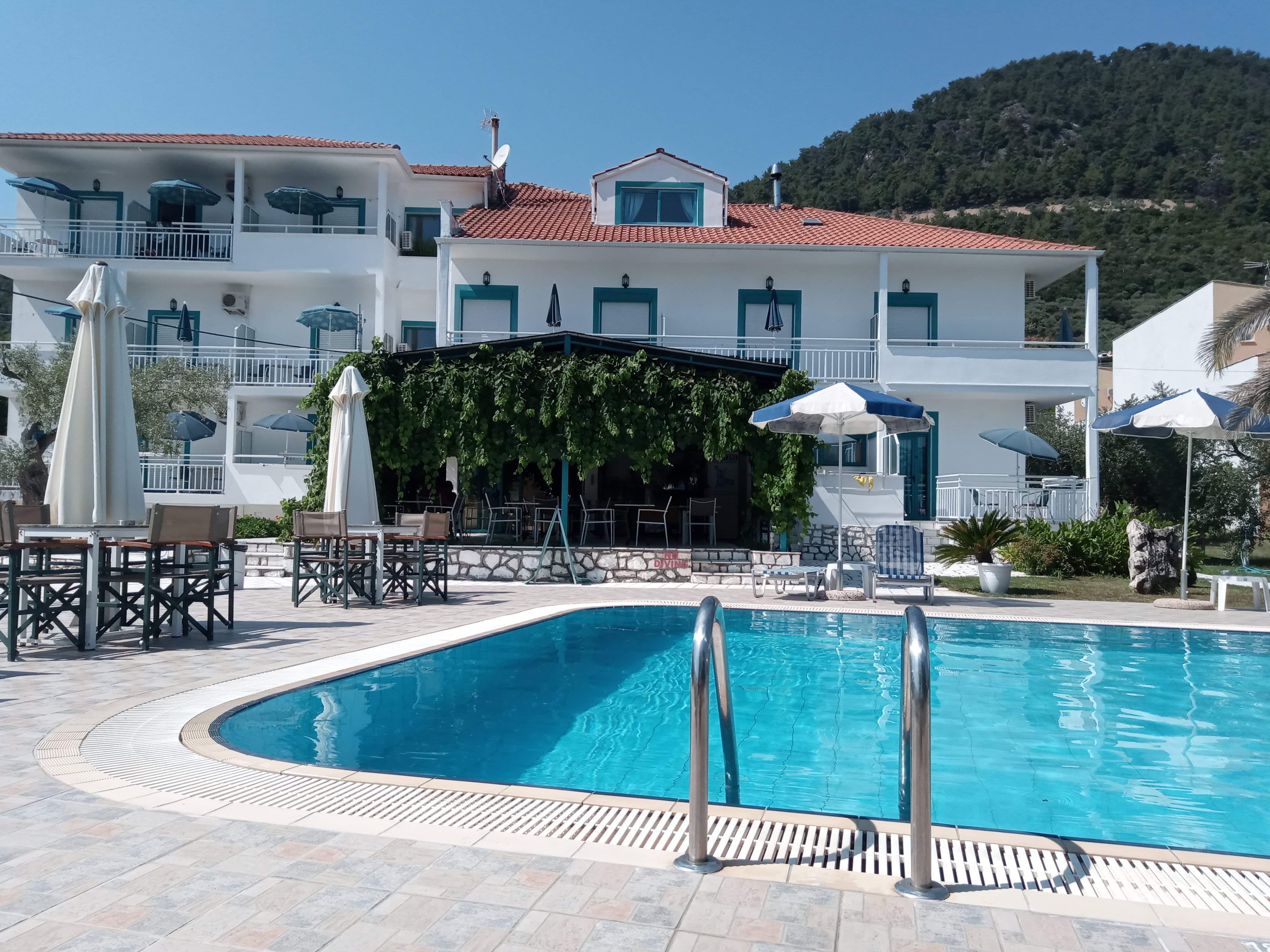 Dimitris Hotel-泳池
