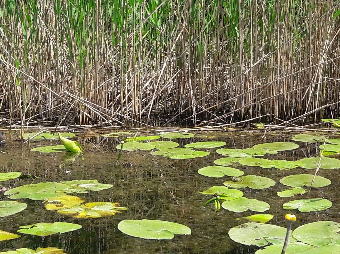 Nizhnednestrovskiy National Park-Mayaky必去景点
