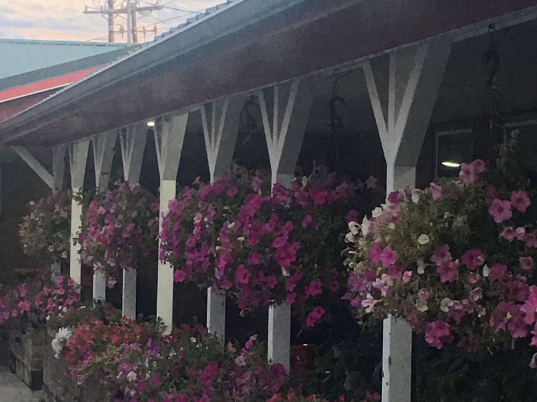 Greybull Motel主图