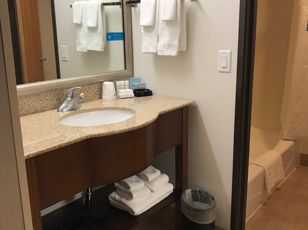 Hampton Inn Kalispell主图
