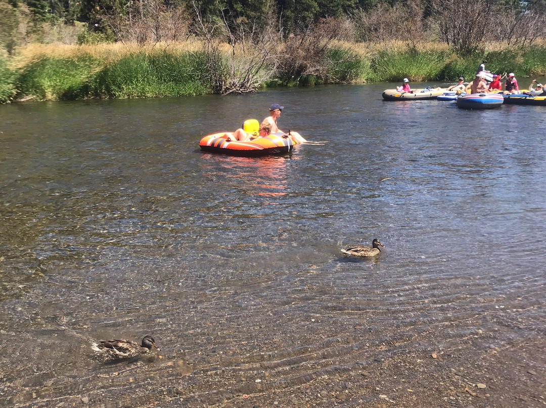 Truckee River Raft Company景点图片