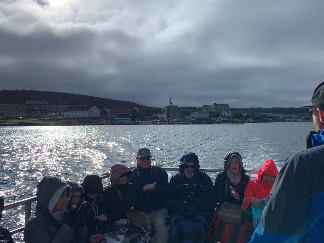 Northland Discovery Boat Tours景点图片