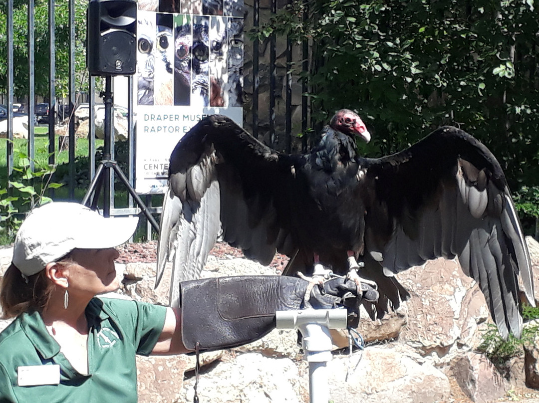 Draper Natural History Museum-科迪必去景点