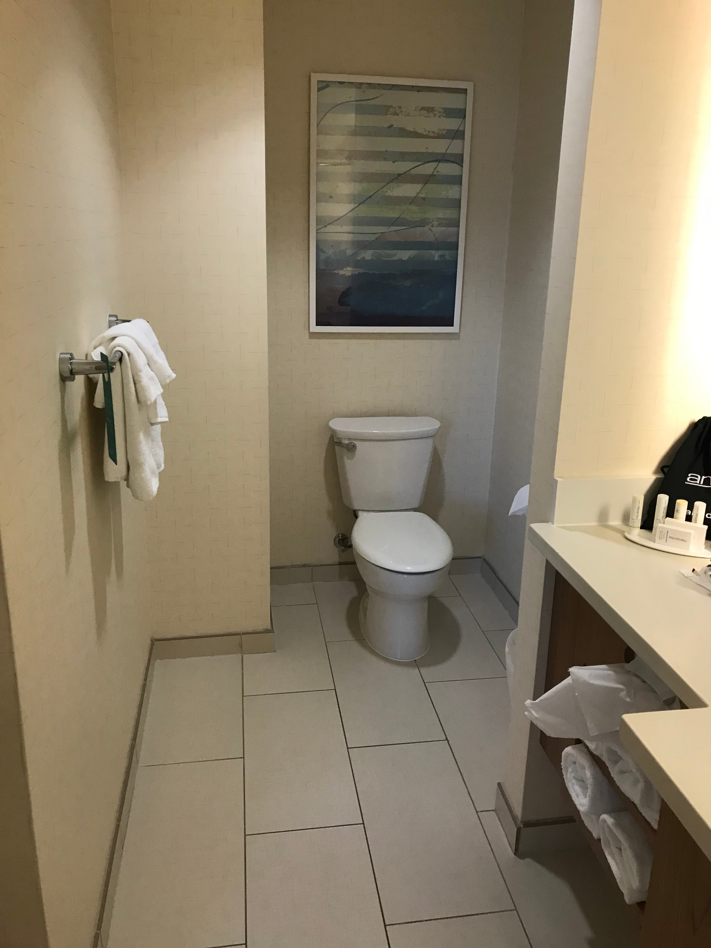 万豪阿纳海姆春季山丘套房酒店-浴室