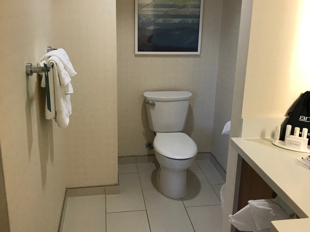 万豪阿纳海姆春季山丘套房酒店主图