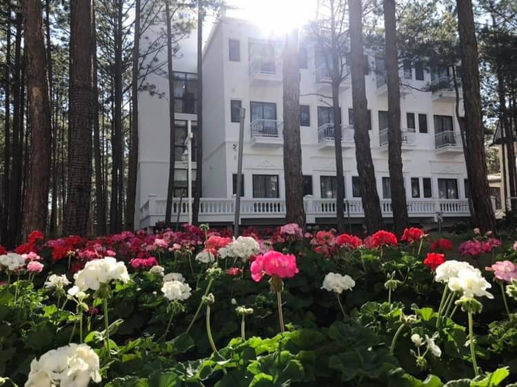 Cereja Hotel & Resort Da Lat主图