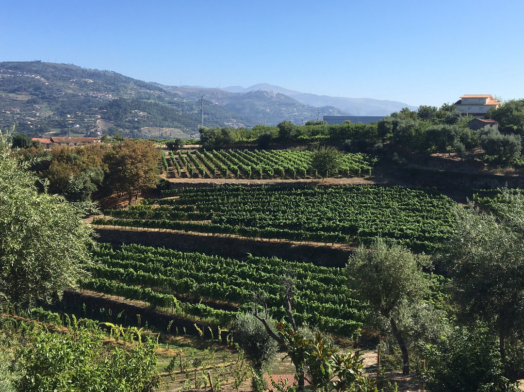 Quinta do Outeiro主图