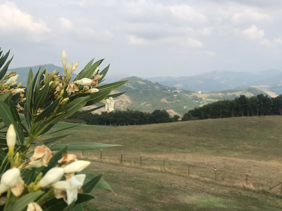 Agriturismo Tenuta Ca Di Bertucci主图