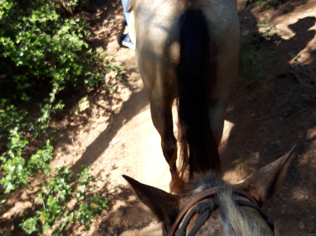 Cavallo Avventura景点图片