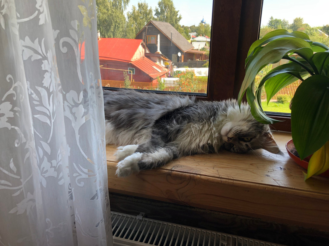 苏维特利特伦酒店主图