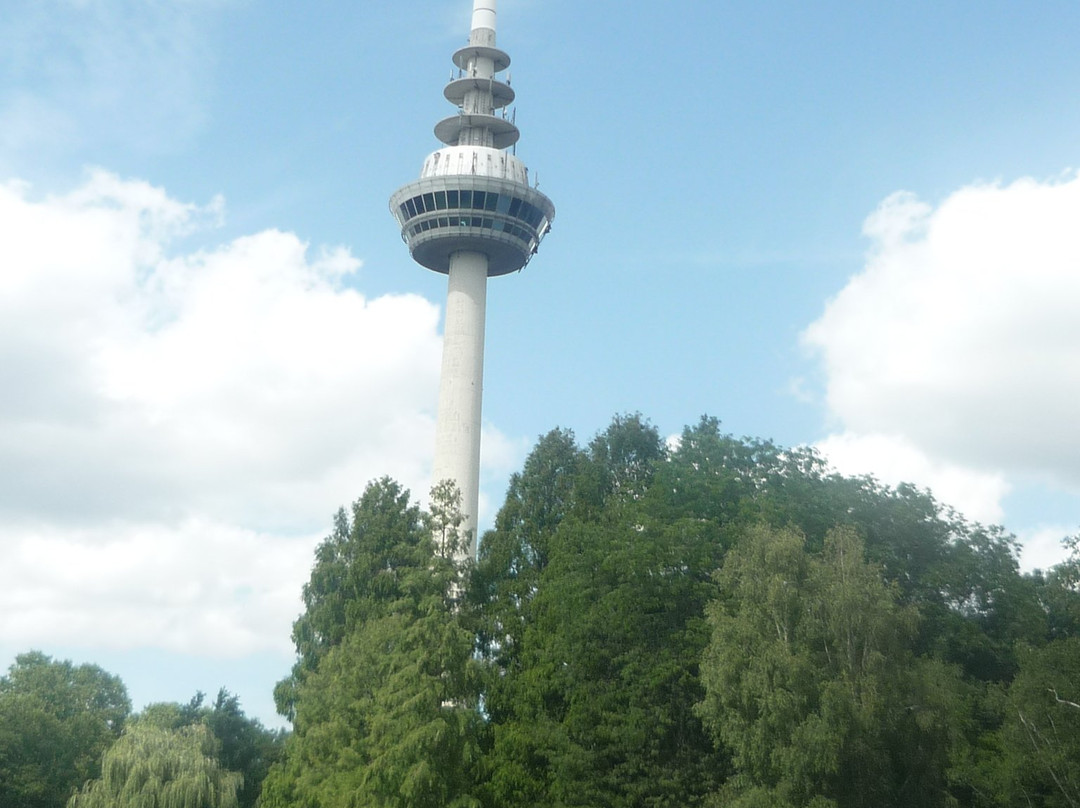 Fernmeldeturm Mannheim-曼海姆必去景点