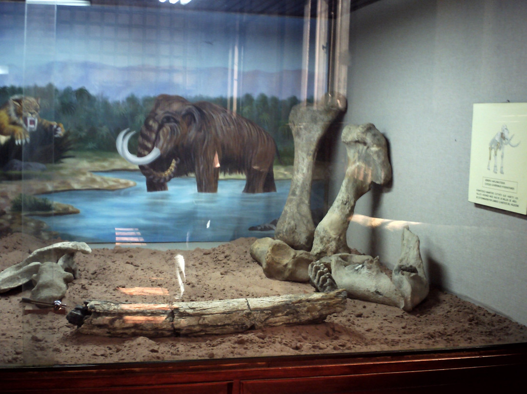 Museo Arqueologico de la Universidad-科恰班巴必去景点