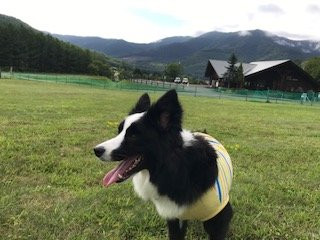 落叶松金山湖酒店主图