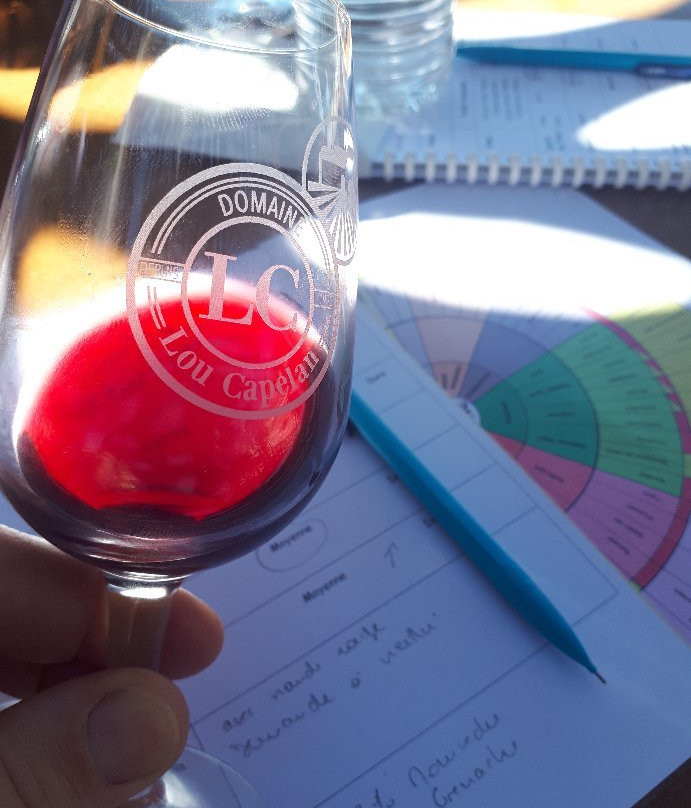 Domaine Lou Capelan-La Cadiere d'Azur必去景点