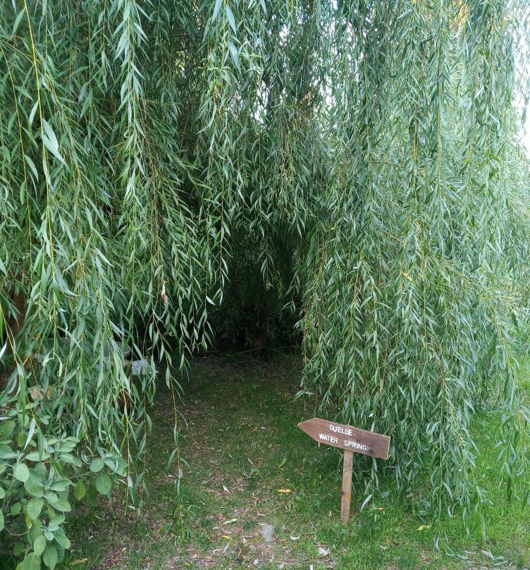 Chalet Le Dorf主图