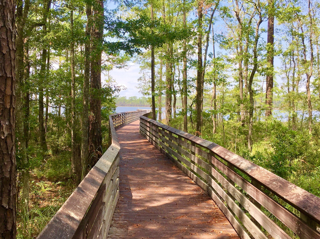 Tarkiln Bayou Preserve State Park景点图片