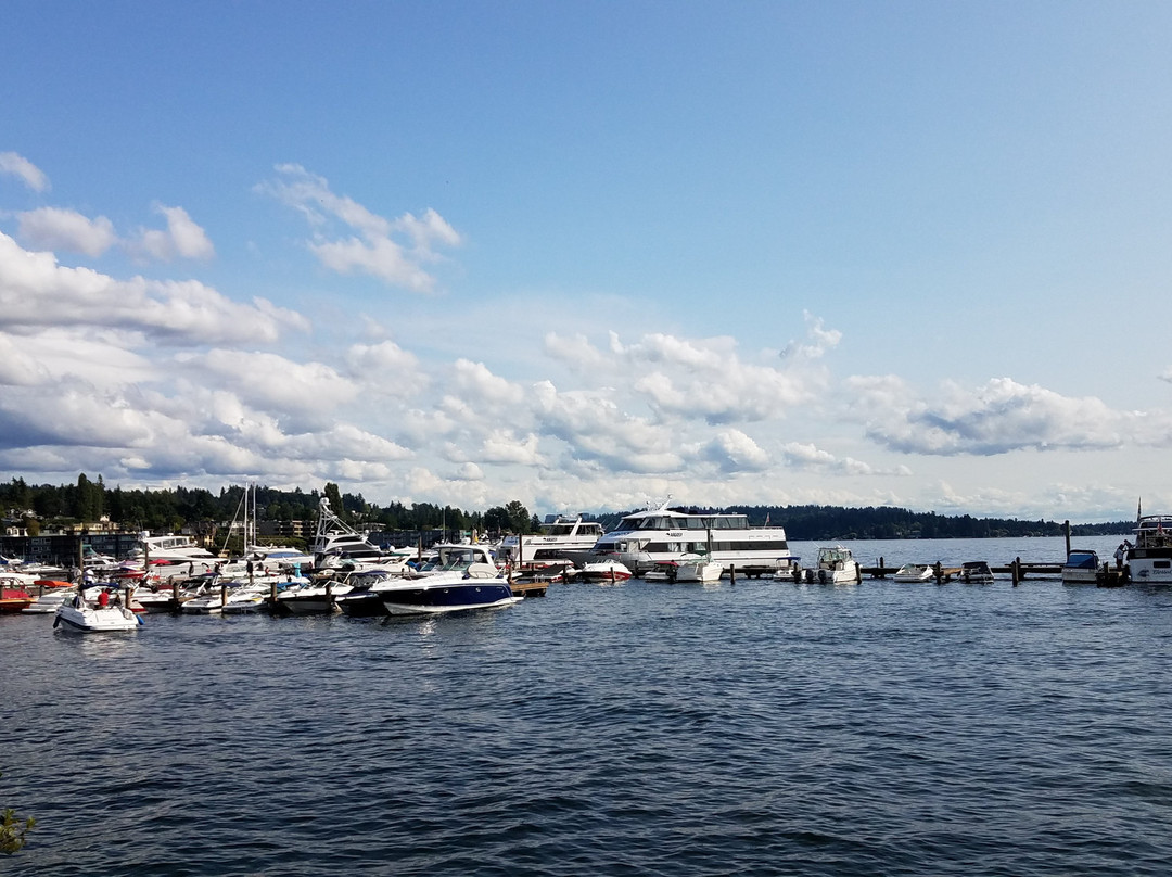 Marina Park-柯克兰必去景点