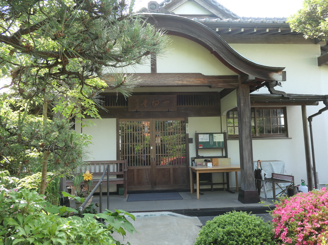 Koshoji Temple-镰仓市必去景点