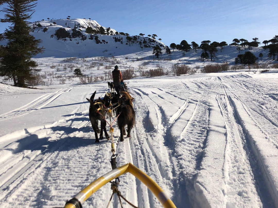 La Huella-Caviahue必去景点