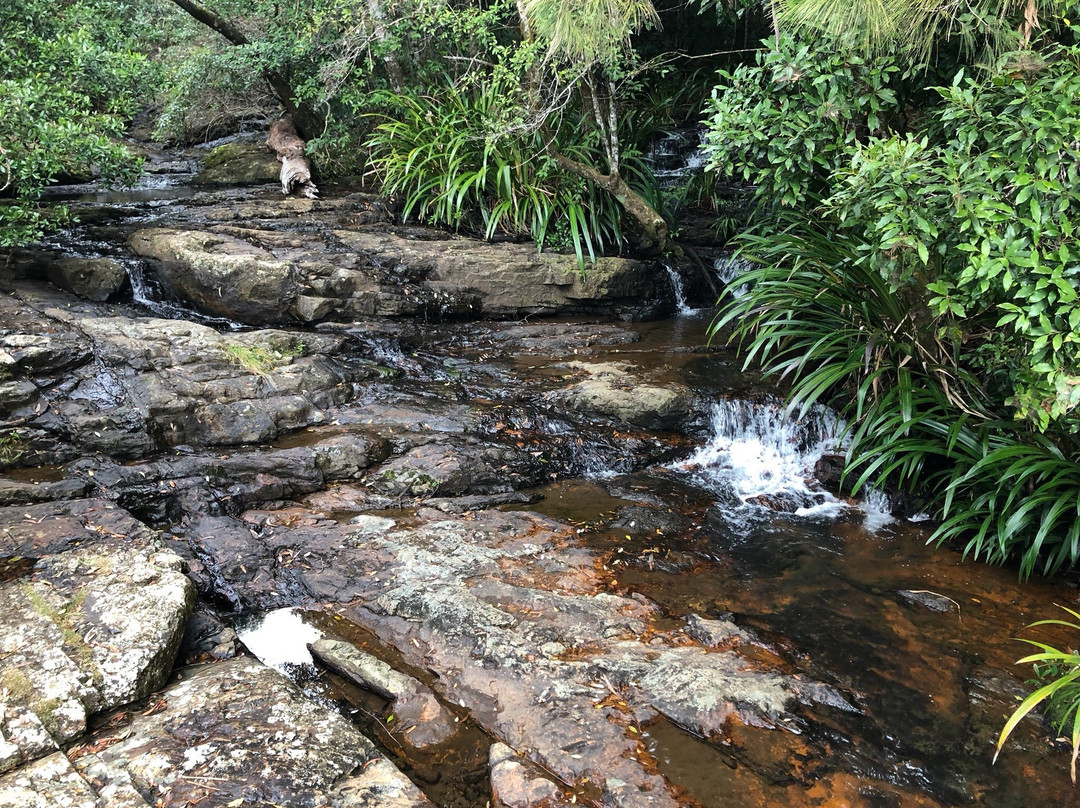 Tallanbana Picnic Area-春之泉必去景点