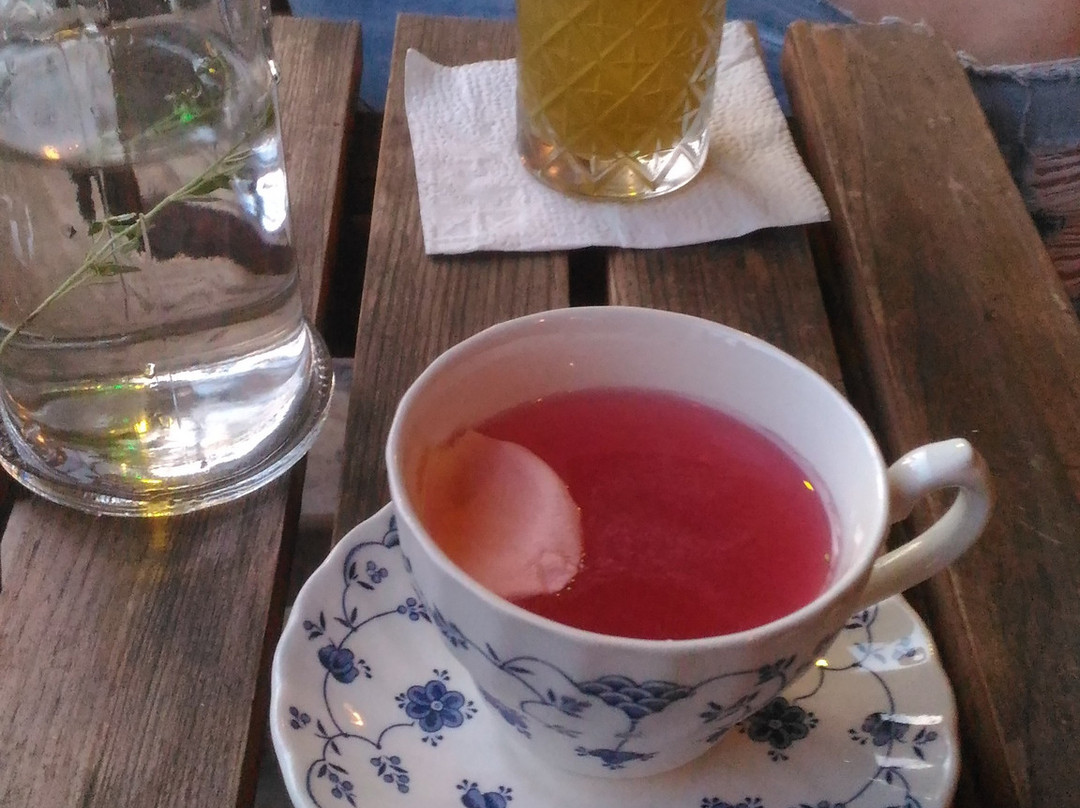 Tequila Bar Funky Monkey-大特尔诺沃必去景点