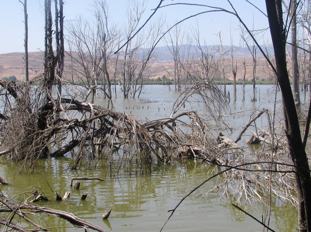 Aula de la Naturaleza el Aguadero-Padul必去景点