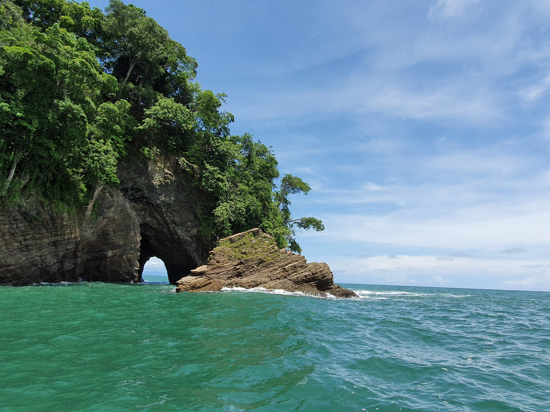 Bahia Ballena Kayaks景点图片