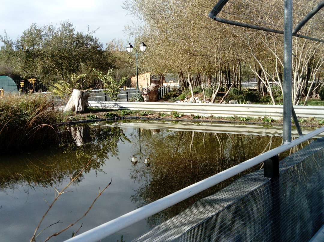 Le Refuge des Tortues-Bessieres必去景点