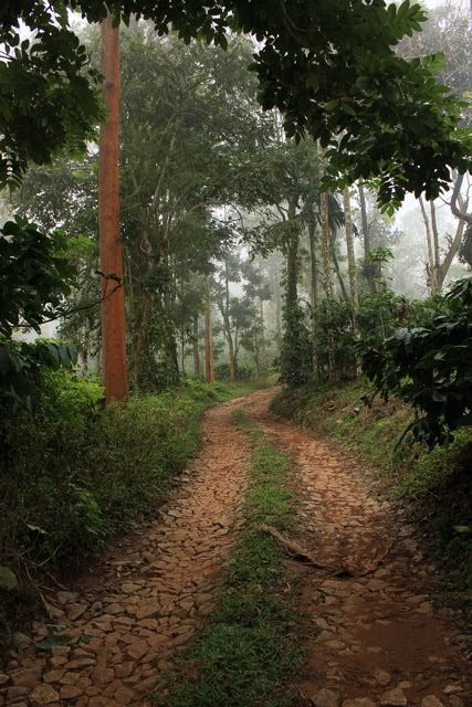 Stream Garden Mountain Resort主图