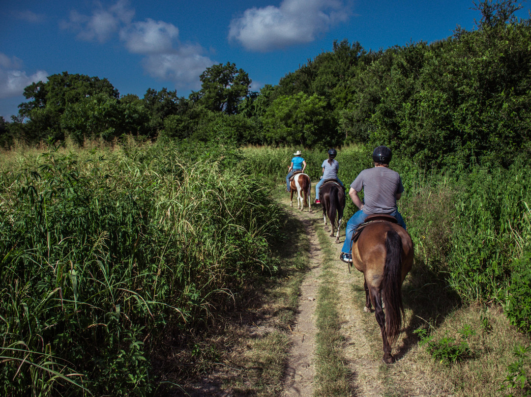 Lone Star Ranch-奥斯丁必去景点