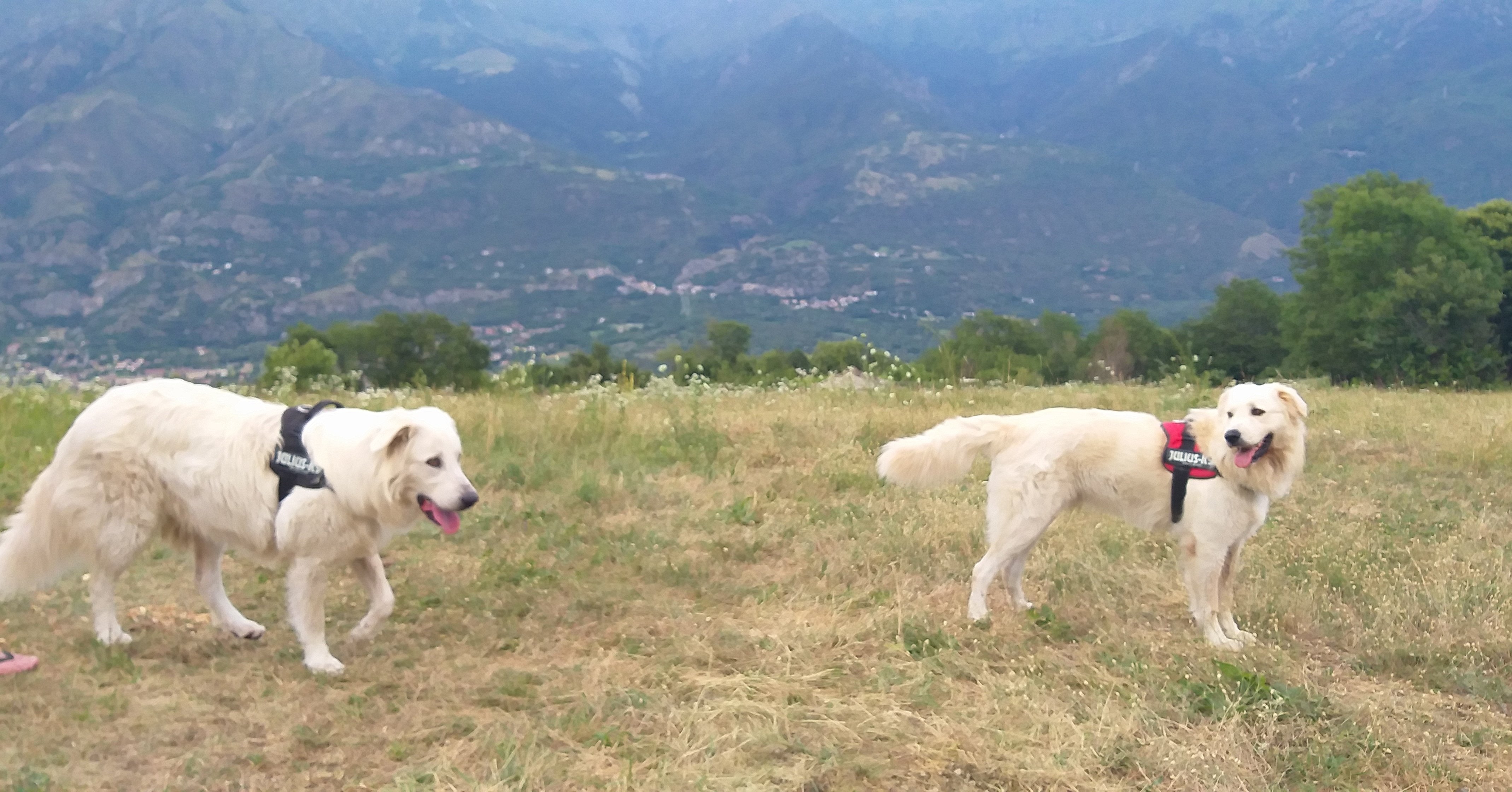 Baita Evelina bed & breakfast-官方
