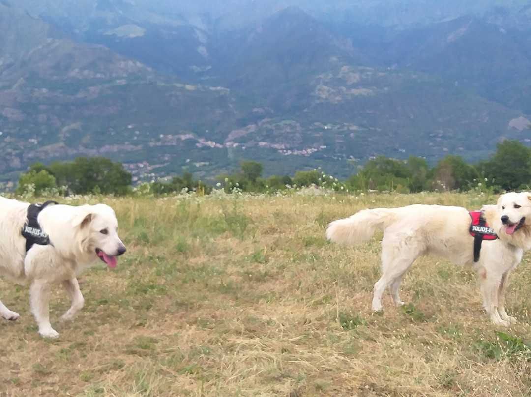 Baita Evelina bed & breakfast主图