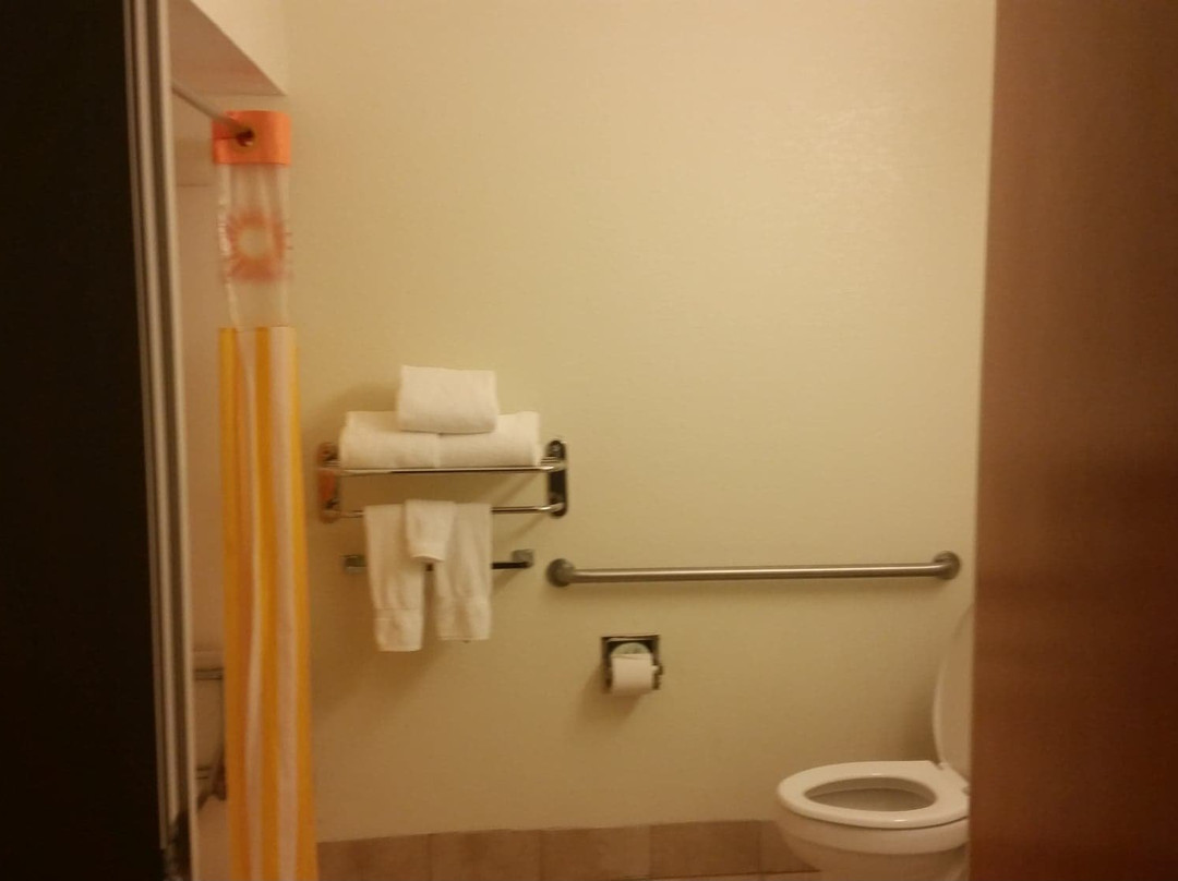 图莱利拉金塔旅馆及套房酒店主图