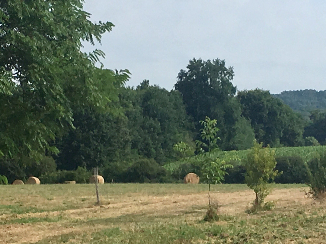 Chateau Les Farcies du Pech'主图