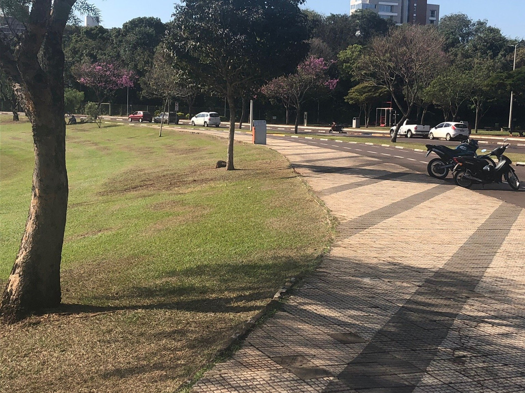 Praça Willy Barth景点图片