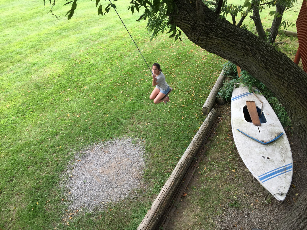 Tree Creations in Geneseo-Geneseo必去景点