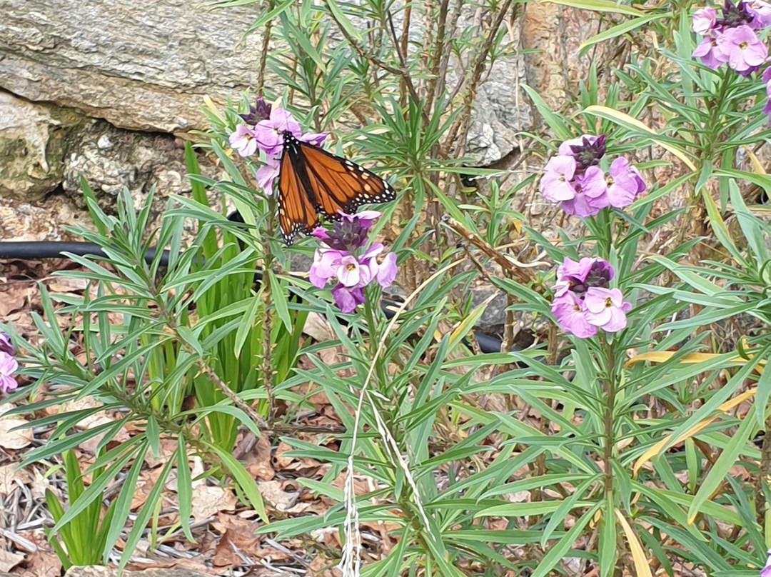 Holberry House主图