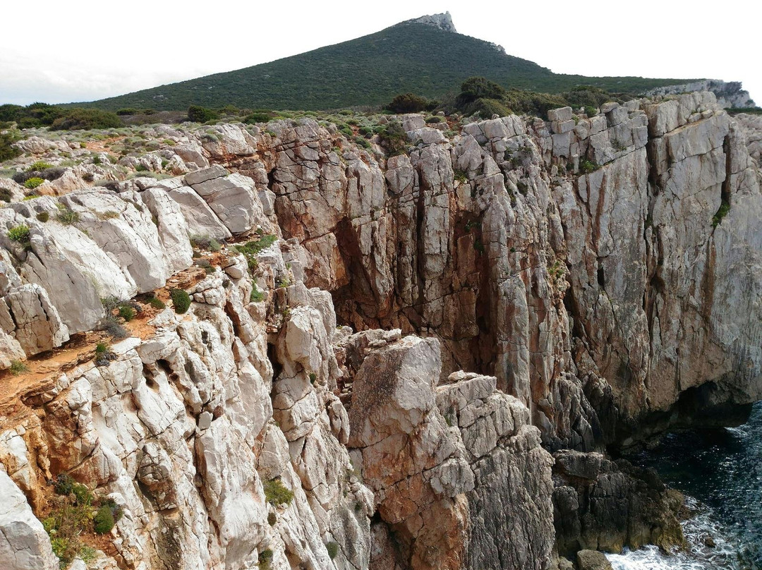 Area Marina Protetta - Capo Caccia / Isola Piana-Tramariglio必去景点