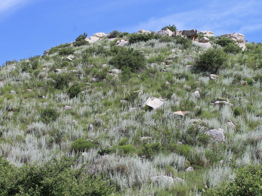 Alibates Flint Quarries National Monument-Fritch必去景点