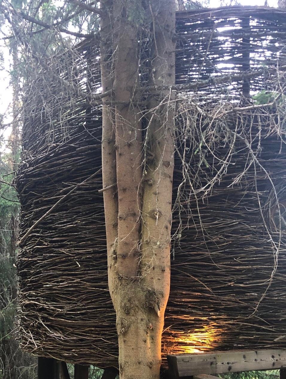 Entre Terre Et Ciel-官方