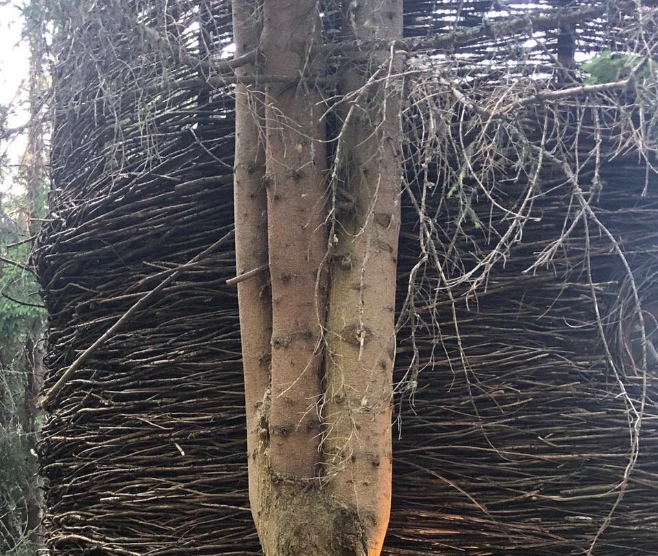 Entre Terre Et Ciel主图