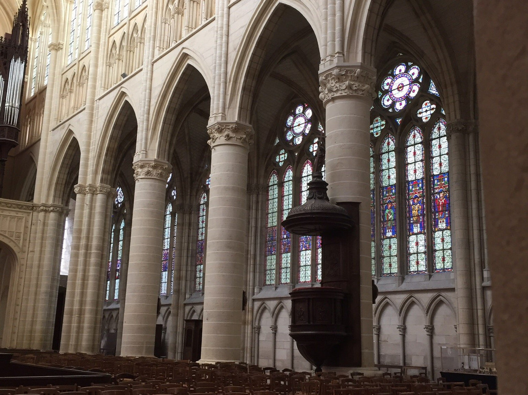 Cathédrale Saint-Étienne de Châlons景点图片