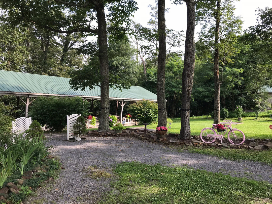 Town Hill Bed and Breakfast主图