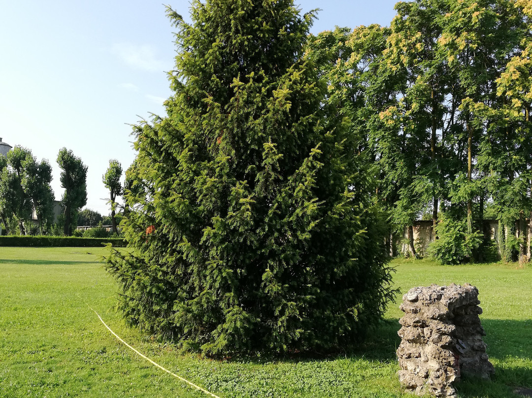 Country Hotel Castelbarco主图