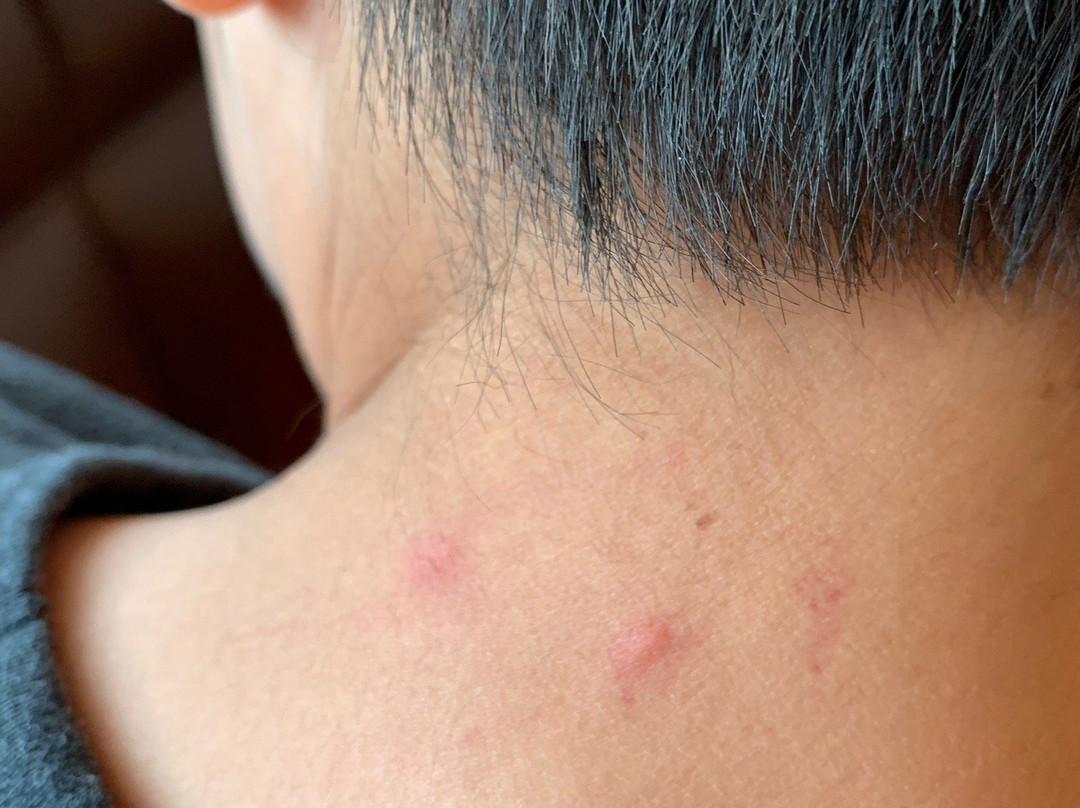 AmericInn by Wyndham Fargo Medical Center主图