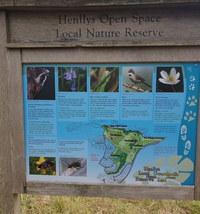 Henllys Local Nature Reserve景点图片